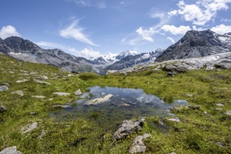 Mountain landscape with small pond, behind mountain peak Mont Blanc de Cheilon, Hérménence, Valais
