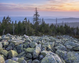 View from the Lusen with Blockmeer at dusk, Bavarian Forest National Park, Lower Bavaria, Bavaria,