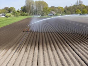 Artificial irrigation of a potato field in April, with a sprinkler system, long drought in spring