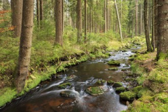 The Weißmain, source river of the Main, Bischofsgrün, Fichtelgebirge, Upper Franconia, Bavaria,
