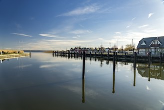 Boathouses in the small harbour of Althagen, Ahrenshoop, Mecklenburg-Vorpommern, Germany, Europe