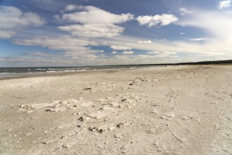 The Baltic Sea beach near Prerow, Mecklenburg-Western Pomerania, Germany, Europe