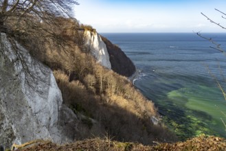 The Königsstuhl chalk cliff with Skywalk viewing platform on the Baltic Sea coast in Jasmund