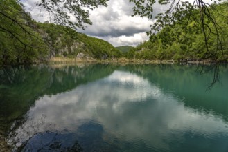 Lake in Plitvice Lakes National Park, Croatia, Europe