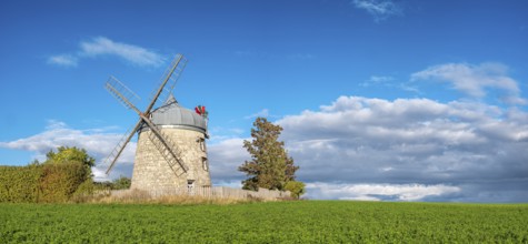 Green field with windmill under blue sky, mill, tower windmill, Tultewitz, Saxony-Anhalt, Germany,