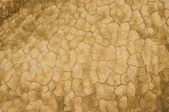 Cracked earth texture forming interesting patterns in bardenas reales desert, navarre, spain,
