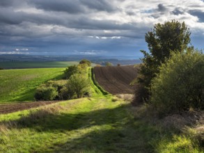 Field path through field landscape in the evening light, battlefield of 1806, Battle of Jena and