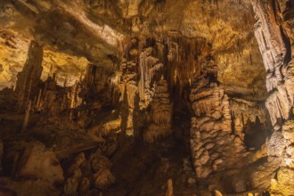 A cave with many stalactites and stalagmites. The cave is dark and the stalactites and stalagmites