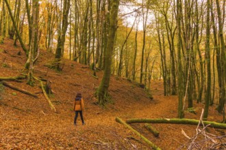 Lifestyle, a young brunette in a yellow jacket walking along the forest path in autumn. Artikutza
