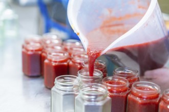 Strawberry mixture is filled into jars from a large measuring cup, jam production, Haselstaller