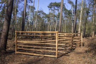Wooden lattice called reeblock, roe deer block, fence for game browsing protection of young trees