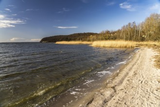 The beach at Lietzow on the Great Jasmund Bodden, Ruegen Island, Mecklenburg-Vorpommern, Germany,