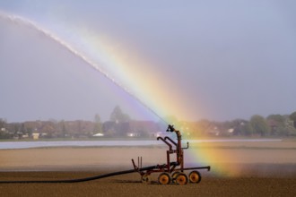 Artificial irrigation of a field, freshly sown, in April, with a sprinkler system, long dry spell