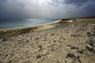 Playa Risco del Paso beach, Playa de Sotavento, Pajara, Fuerteventura, Canary Islands, Spain,