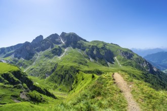 Scenic view of a hiking path leading through vibrant green mountains under a clear blue sky in the