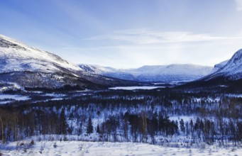 Snow-covered forests and mountains under a clear blue sky, Norway, Europe