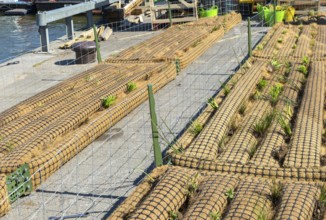 Biomatrix floating plant ecosystem products being prepared for use in the Floating Harbour,