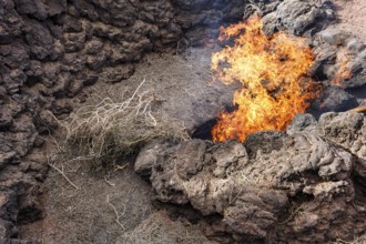 El Diablo, fire from the lava fissure, volcanic activity, demonstration for tourists, Fire
