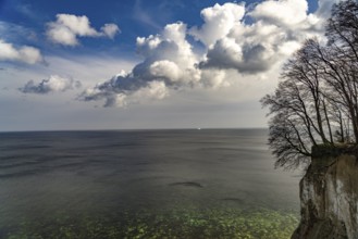The famous chalk cliffs on the Baltic Sea coast in Jasmund National Park, Ruegen Island,