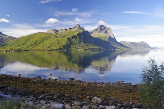 Steep mountains reflected in the sea, fjord, shore, Kystriksveien, FV 17, Helgeland, Nordland,