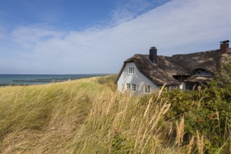 Thatched roof house in the dunes on the beach, Baltic Sea, Ahrenshoop, Fischland,