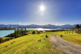 Bucht, Landschaft, Banks Peninsula, Canterbury, Neuseeland