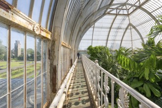 Palm House, oldest Victorian greenhouse in the world, Royal Botanic Gardens, Kew, London, England,