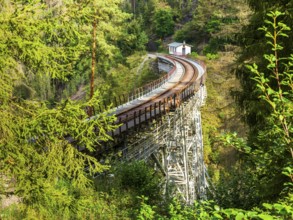 Railway bridge Ziemstal near Wysburg in the Thuringian Slate Mountains, Thuringia, Germany, Europe