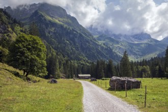 Oytal, behind Untere Gutenalpe, Allgäu Alps, near Oberstdorf, Oberallgäu, Allgäu, Bavaria, Germany,