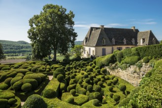 Boxwood garden, Les Jardins de Marqueyssac, Vezac, Dordogne, Périgord, Département Dordogne, Region