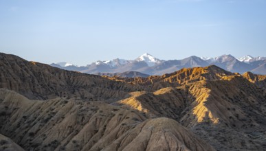 Landscape of eroded hills at sunrise, badlands, white mountain peaks of the Tian Shan Mountains in