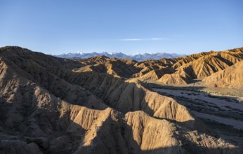 Landscape of eroded hills at sunrise, badlands, white mountain peaks of the Tian Shan Mountains in
