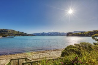 Akaroa Bay, Landschaft, Banks Peninsula, Canterbury, Neuseeland