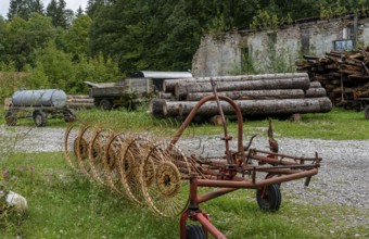 Logs stored on the grounds of the horticultural office, Schwangau, Bavaria, Germany, Europe