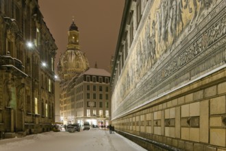 Prince's train in winter