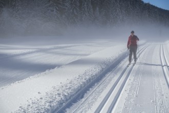 Perfect track on the cross-country circuit alte Mühle, Ramsau am Dachstein, Styria, Austria, Europe