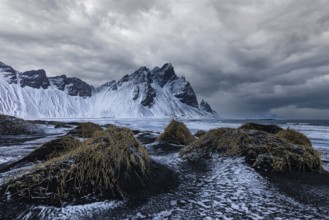 Black sand dunes with reed remains, behind them snowy rocky slopes of Vestrahorn, near Höfn,