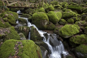 Moss-covered rocks, waterfalls, wooden bridge, Geishöll waterfalls, In der Geishöll, near