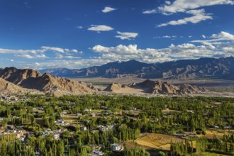 View of Leh from above from Shanti Stupa on sunset. Ladakh, Jammu and Kashmir, India, Asia