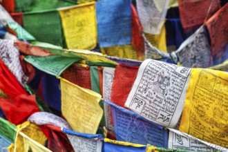 Tibetan Buddhism prayer flags (lungta) with Om Mani Padme Hum Buddhist mantra prayer. Leh, Ladakh,