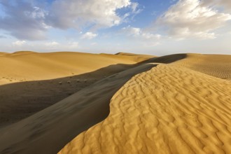 Sam Sand dunes in Thar Desert. Rajasthan, India, Asia