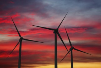 Green renewable energy concept, wind generator turbines in sky on sunset