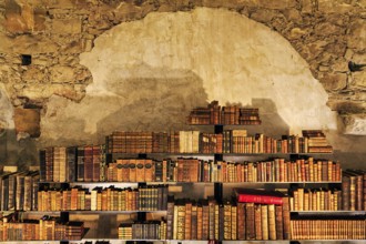 Old books, library in the former Augustinian monastery Dalheim, interior photograph, LWL,