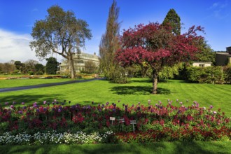Flowerbed, Botanical Garden in spring, sunny weather, Dublin, Ireland, Europe