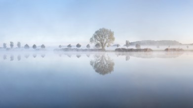 Still lake with morning mist in the soft morning light, a tree stands on the shore, landscape is