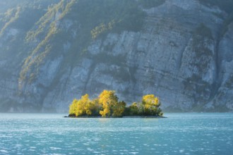 Small chive island in the turquoise waters of Lake Walen, Canton St. Gallen, Switzerland, Europe
