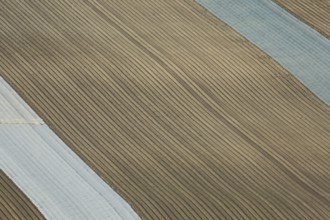 Field with grooves from above covered with foil, background, structure, pattern, line pattern,