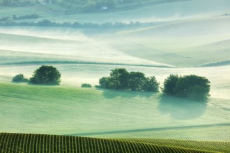 Moravian rolling fields landscape in morning mist. Moravia, Czech Republic, Europe