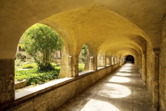 Cloister with view through the cemetery to the Thousand Year Rosebush, Mariendom, Hildesheim, Lower