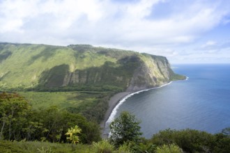 Waipi'o Valley seen from Waipi'o Valley Lookout, Big Island, Hawaii, USA, North America